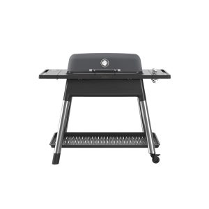FURNACE GASS GRILL