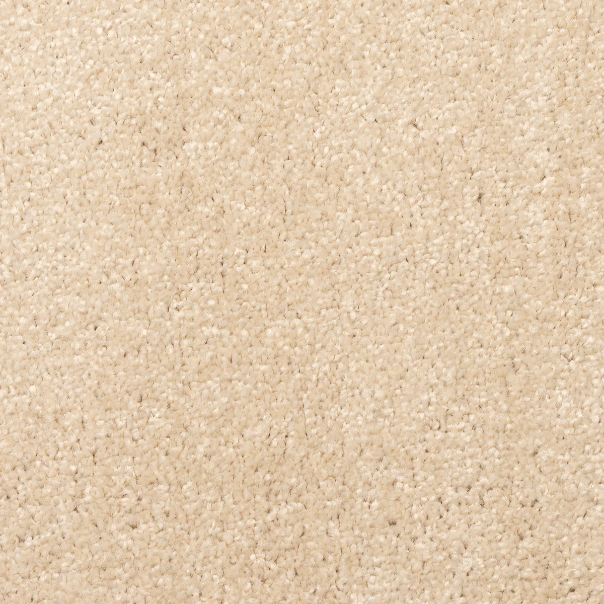 Athena Sand - Image 3